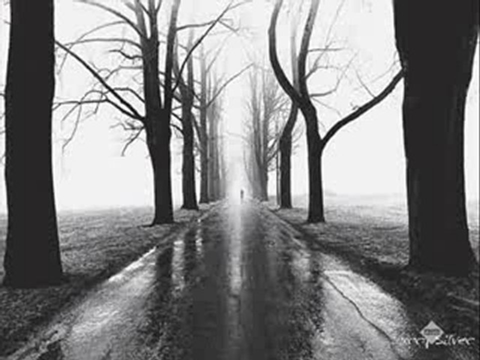 ALPER - gelde bana sor