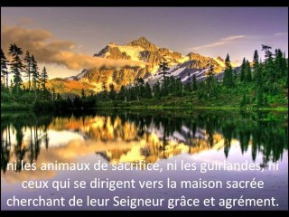 LES MEILLEURS RECITATEURS DU CORAN macha'Allah