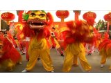 Lunar New Year Celebrations Begin in China
