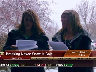 The Nest News February 4, 2011