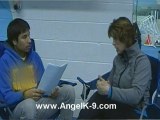 Best Maryland Dog Training