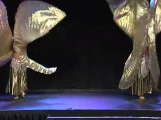 Buikdanseres Enschede Hengelo Oriental Sensation