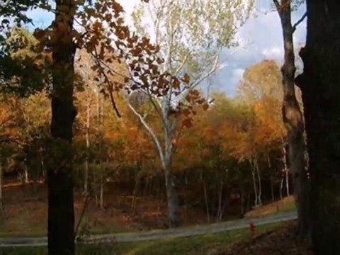 Homes for Sale - 1218 Church Hill Farms Dr 10 - Stonelick Twp., OH 45103 - Sarah McCauley