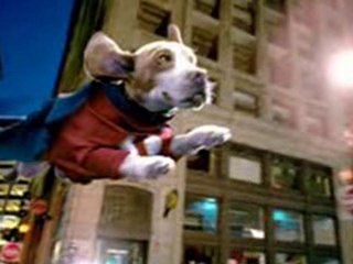 Underdog , Forum & Discussions 2