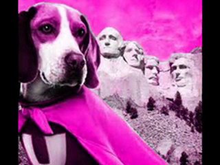 Underdog , Forum & Discussions 1