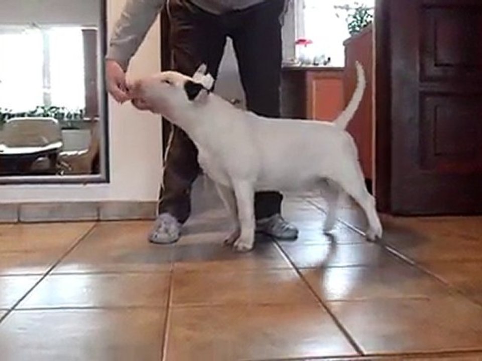 Leila 3