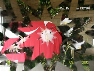 Boran Selik-Durma Güzel Durma Doldur Destini