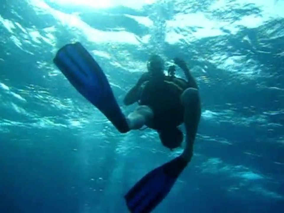 20110126-14h-Plongée balise de la Baleine