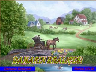 Arzu ARIKAN - Nem Kaldı