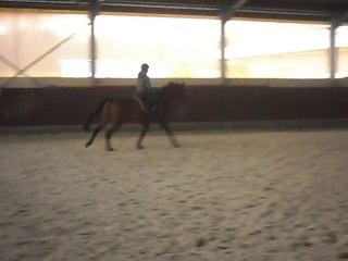 Elégance Bonheur van het Kelfshof : essai obstacle 1