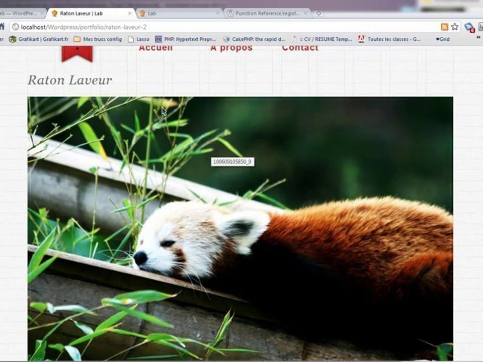 Les Custom post type sur Wordpress