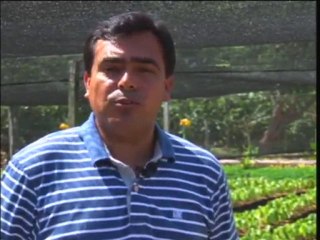 La inmortalidad de un líder I