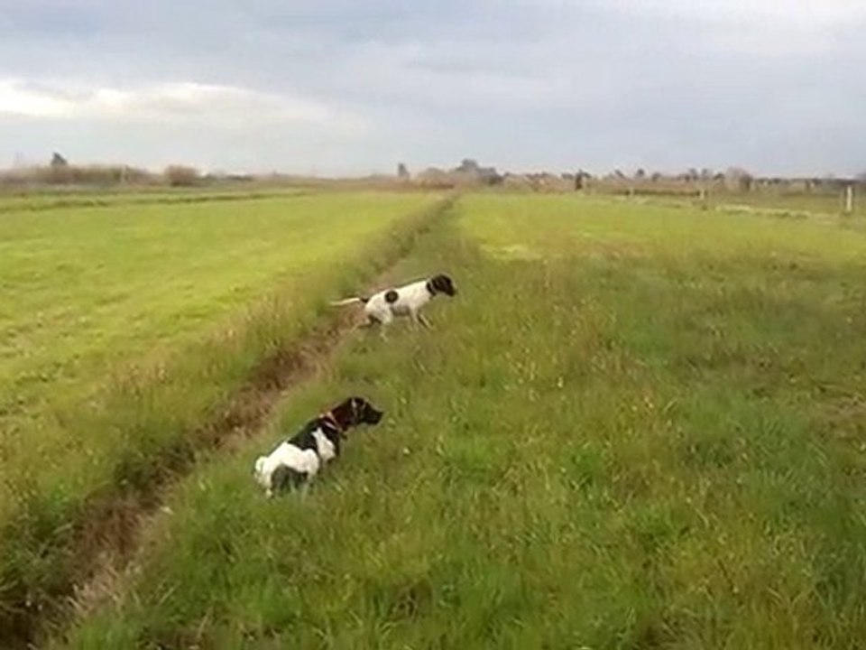 Video0052