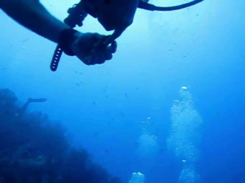 20110128-11h-Plongée Le sec paté