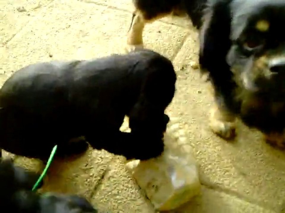 CLIP0048 F' Marley