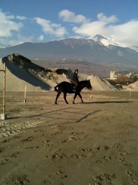 Branches basses au galop
