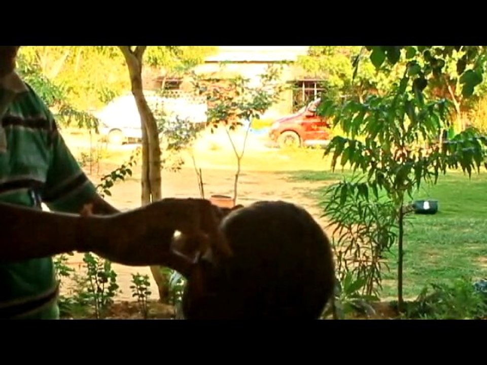haircut in india