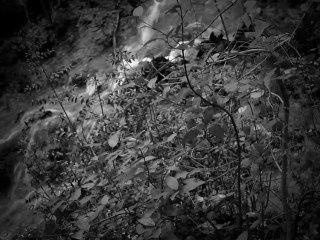 Traces - Cyril Lepizzera