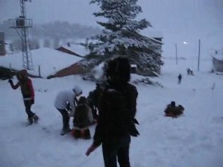 sarı alan yayla halil