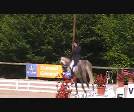 QUANTATE DE GLAIN SANDILLON CIC*AOUT 2010