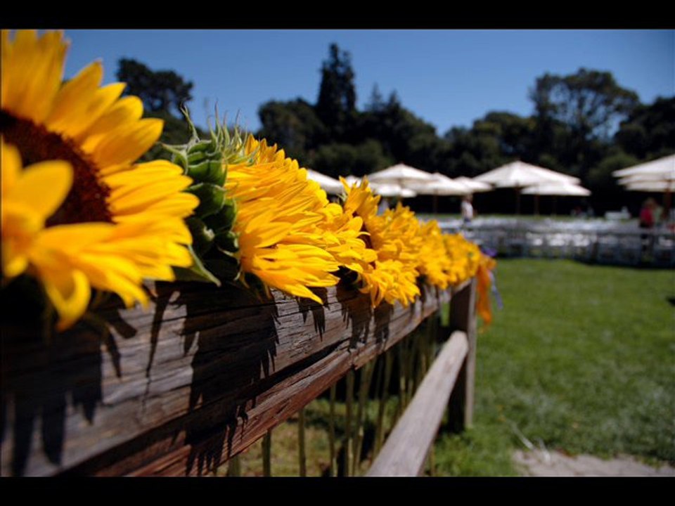 Que dieu vous bénisse