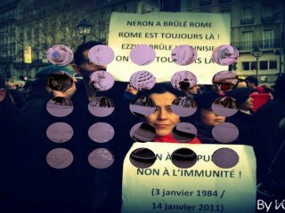 revolution du jasmins