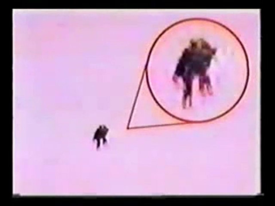 The incredible Entities Humanoids in our sky