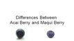 Differences Between Acai Berry and Maqui Berry