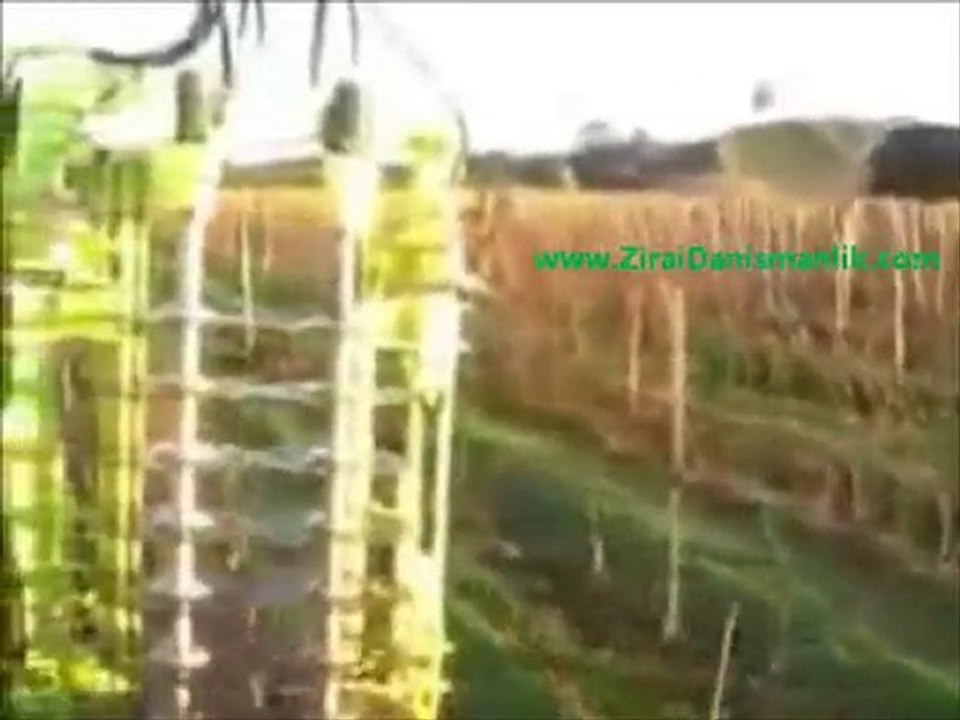 Bağ Budama Makinası Süper ! - www.ZiraiDanismanlik.com