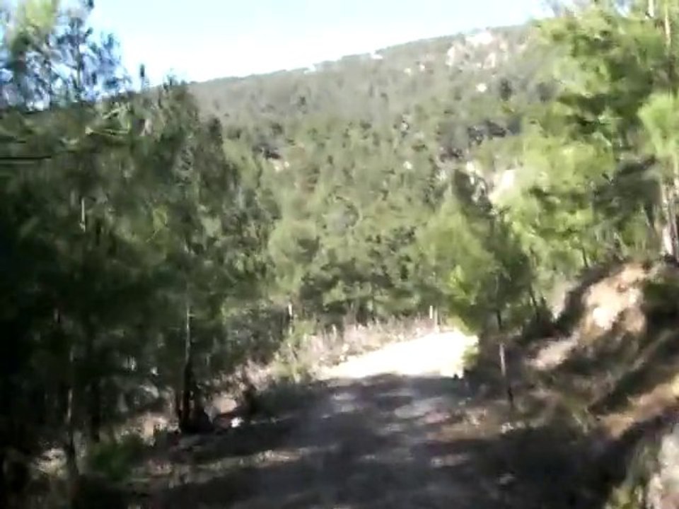 Muhtelif 1
