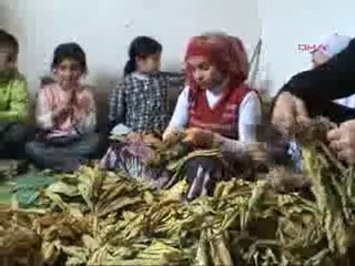 Muş'ta öğrenciler okul harçlığı için tütün balyalıyor