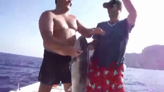 ADRASAN BALIK AVI TURUNDA TROFE AKYA AVI - adrasanbalik.com