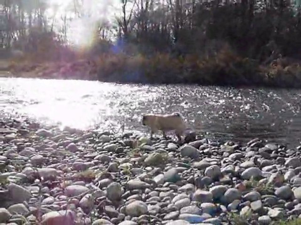 naya vendredi 4 fevrier