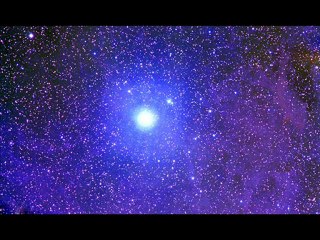 Kutup Yıldızı | Rüzgarla Bir