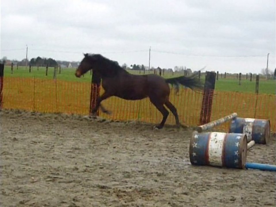 Obstacle