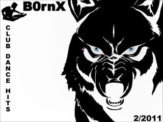Dance Mix 2 2011 (Club Dance Hits)