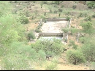 LA FORET DES 29 — L’ESPRIT DE LA DUNE