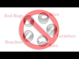 Los Angeles Pest Control 213-928-7721 West Side, The Valley