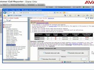 View Information About Statistics in Avaya IP Office Custome