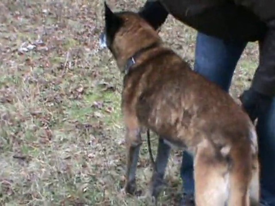 BALOO S ADAPTE TRES VITE