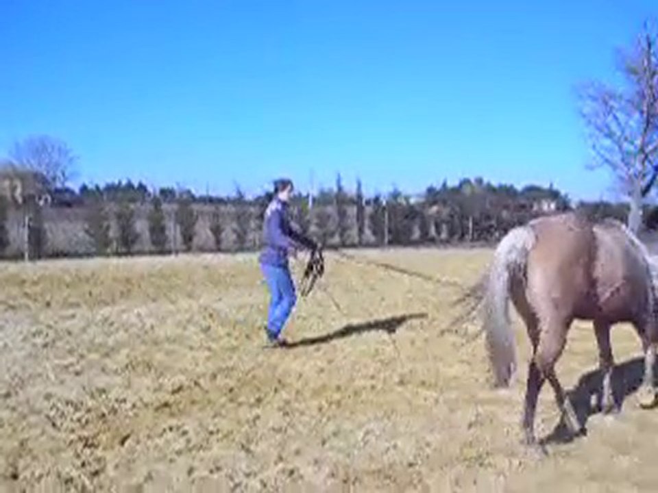 Longe part five  05 02 11