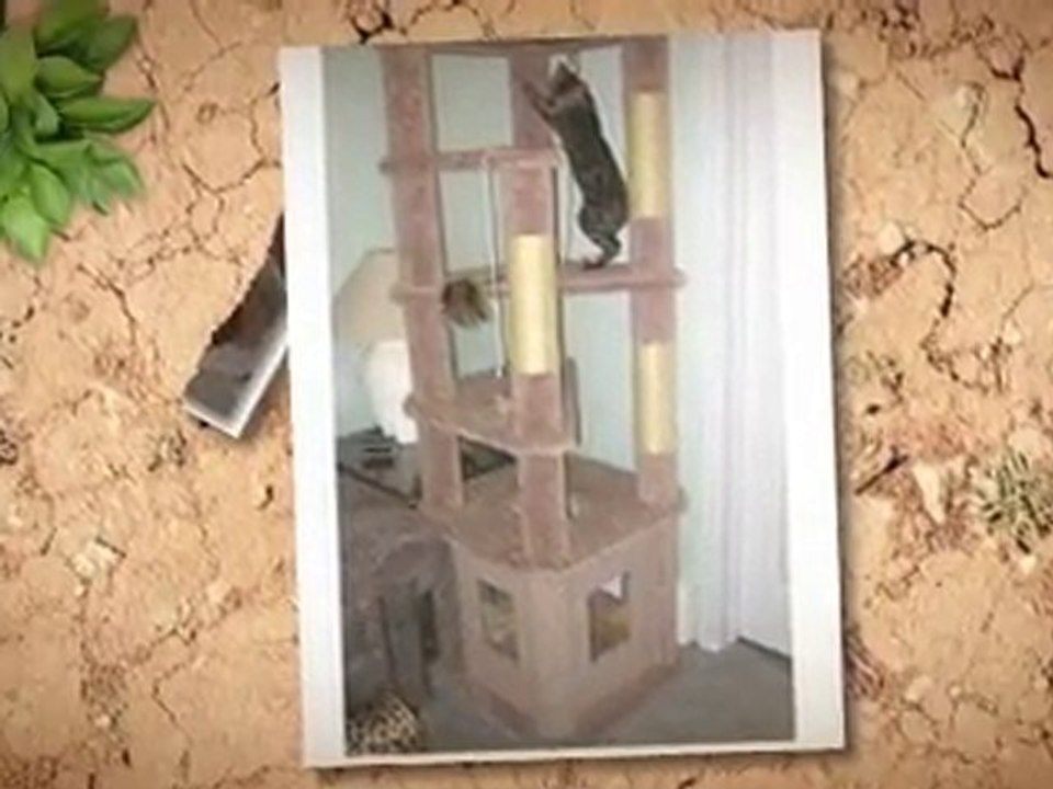 Cat Condo Plans: Save Your Furniture & Your Money!