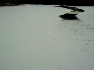 BMF (002) Stock Analysis 📈