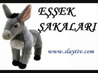 Eşşek Şakaları 4