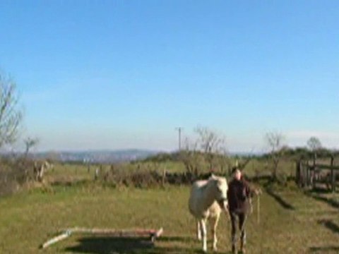 Travail du 5 février 2011 : travail à pied + monté