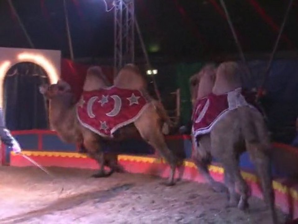 Circus Belly in Wien 2011