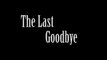 the last goodbye