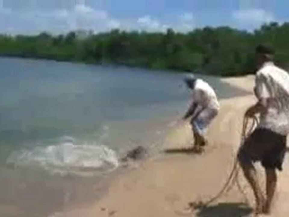 0109 - Homme pêche requin vs crocodile