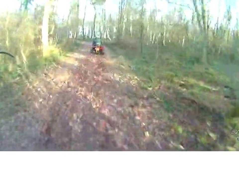sortie  15-01-11
