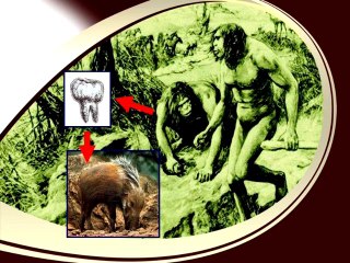 Conférences de Harun Yahya en France - Lyon 19-01-2011 - 4/6